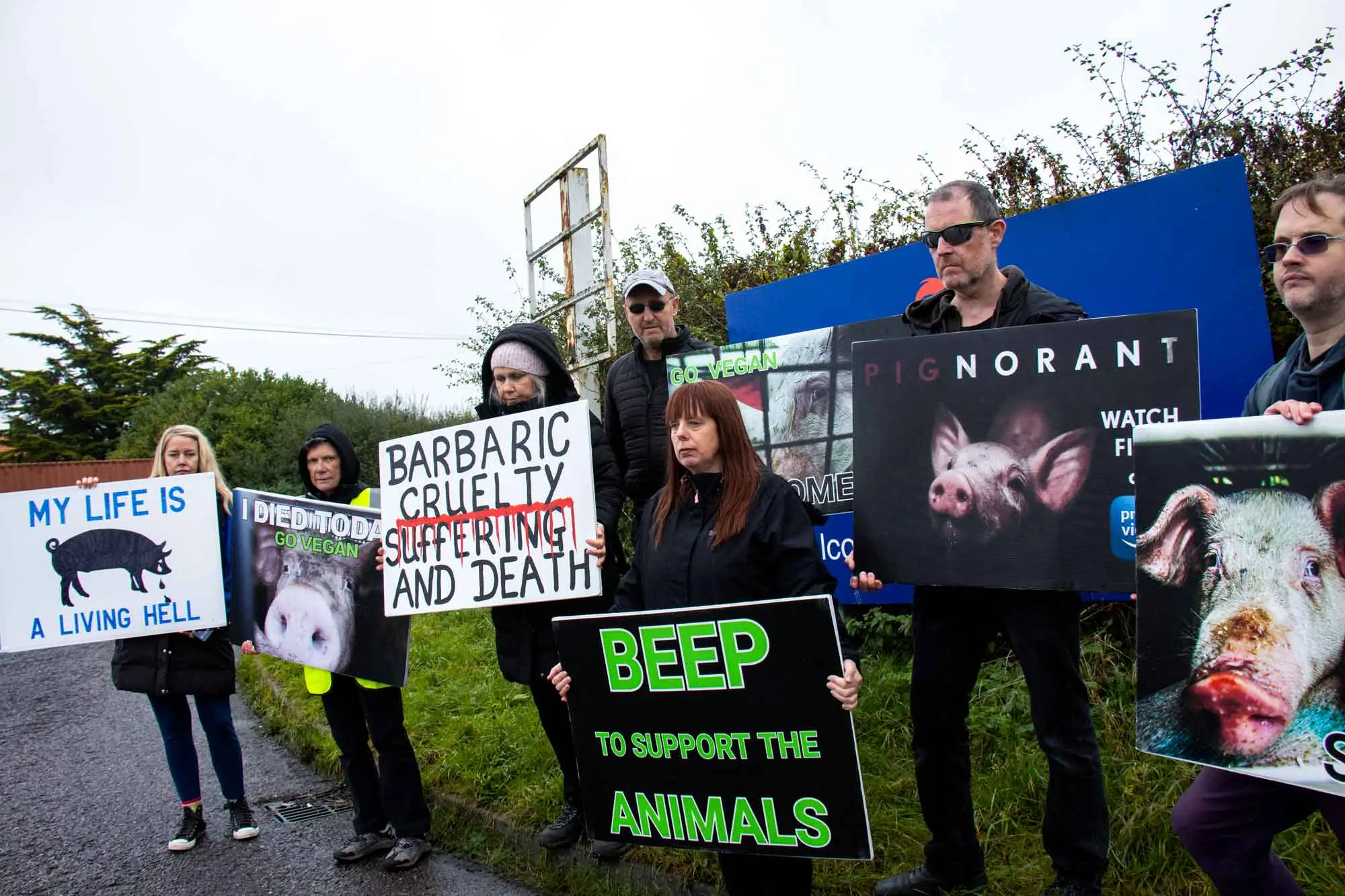 Bristol Animal Save group